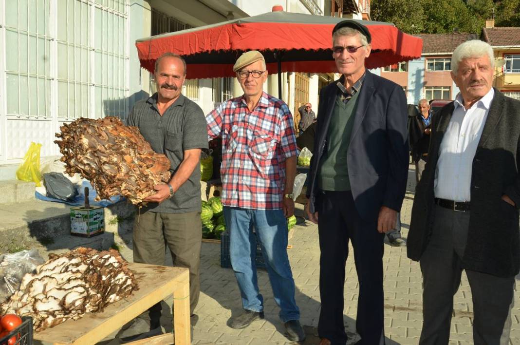 Ormanda topladıklarını satıyordu, bu kez bulduğu 37 kilogram! Sıfır sermayeli iş, almak için sıraya girdiler 5